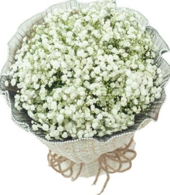 Baby Breath Bouquet