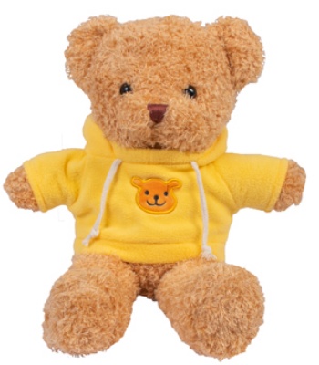 Friendship Day Teddy