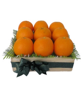 Oranges Box