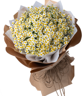 tana daisy bouquet