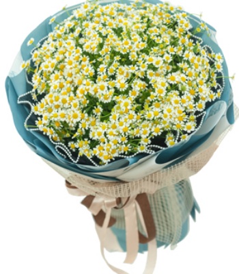 Tana Daisy Flowers hand tied