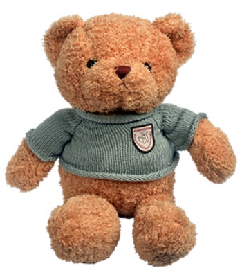 Teddy for Girl Friend