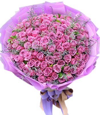 Valentine's Day Purple Roses